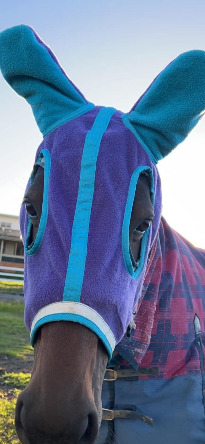 Fleece hoodie — image 1