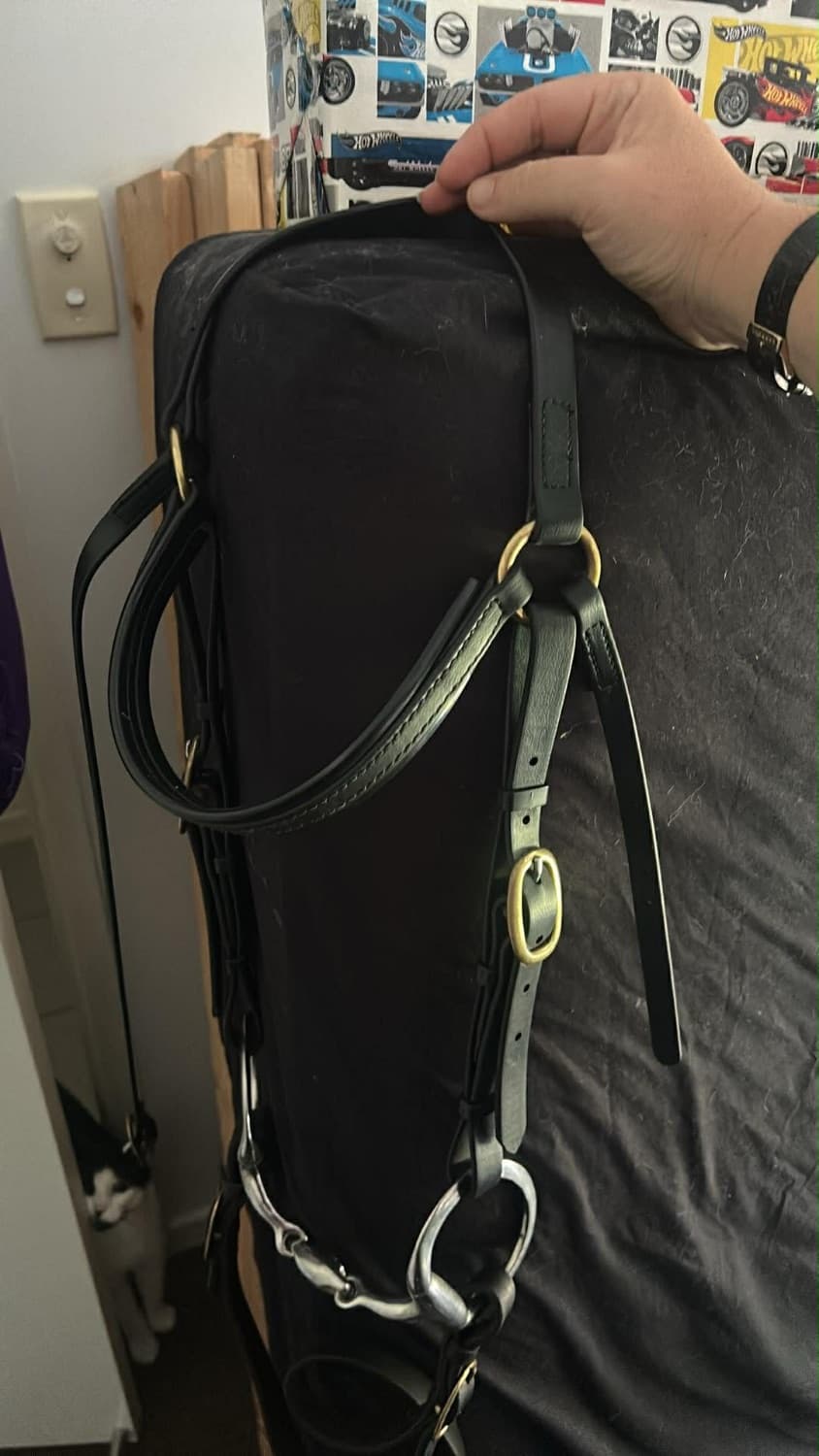 Barcoo bridle — image 1