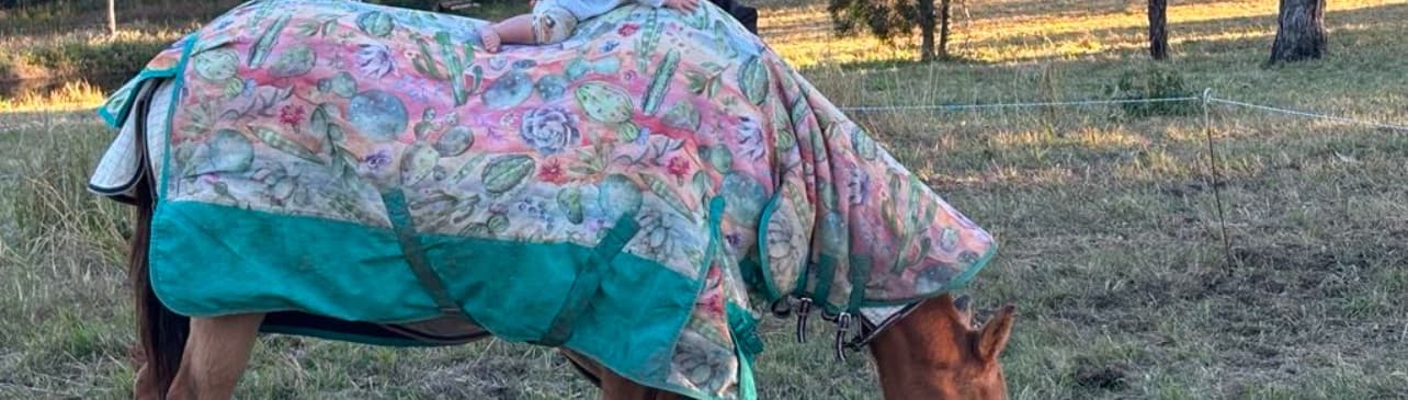 250g Winter doona rug — image 1