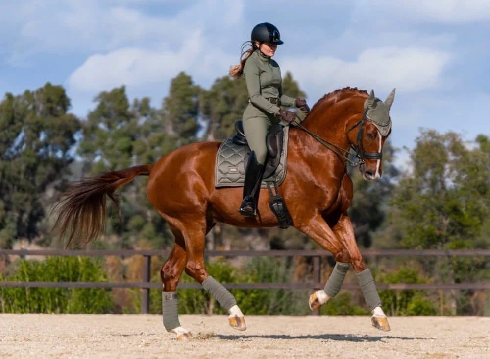 Equestrian Stockholm Evening Haze Dressage Saddle Pad and Bandages - Brand New w Tags Attached