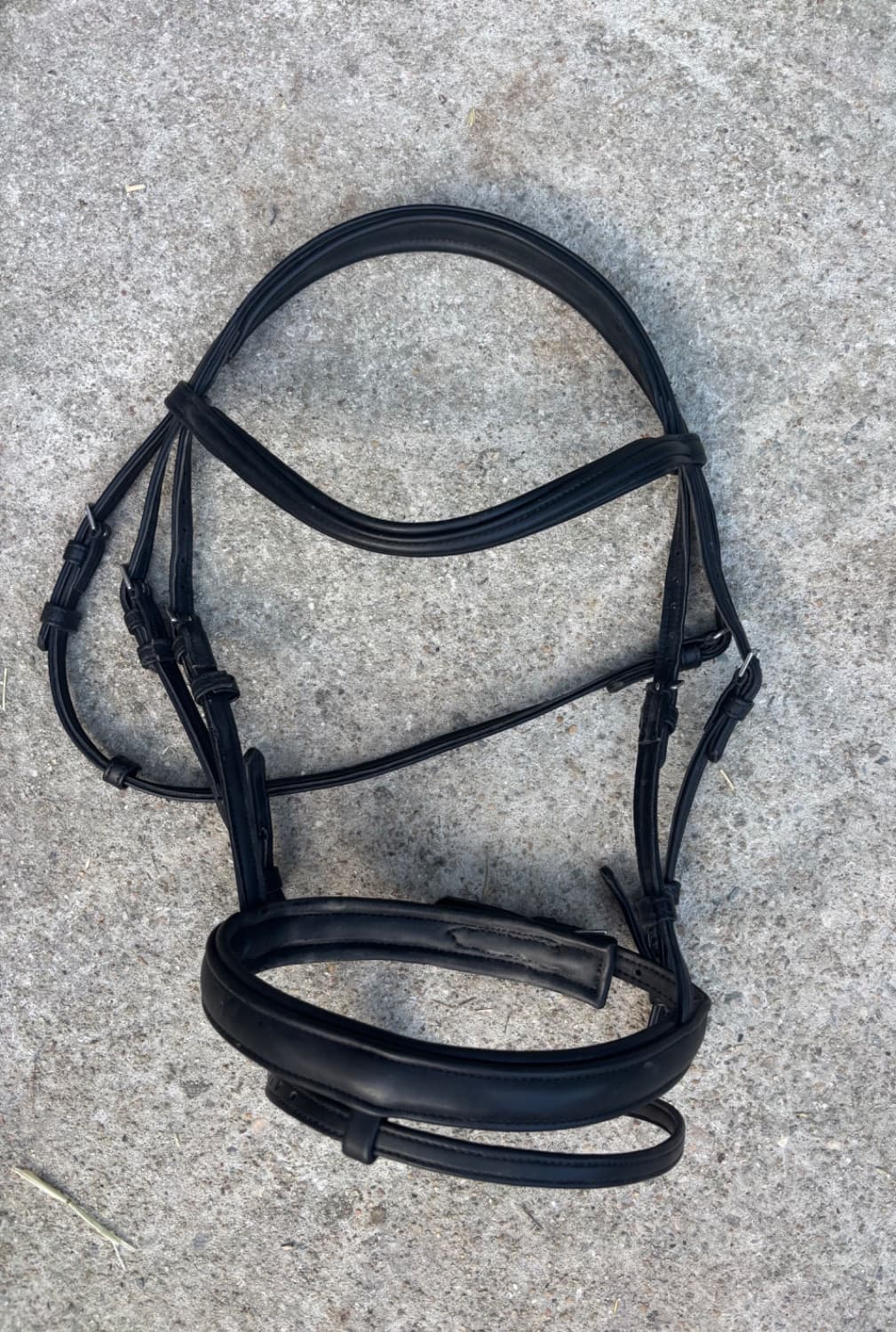 Collegiate Bridle W/ Flash — image 1