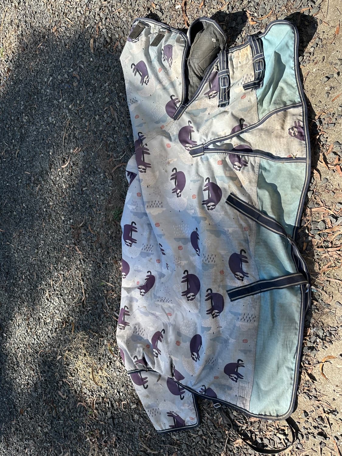 5’3 winter combo — image 1