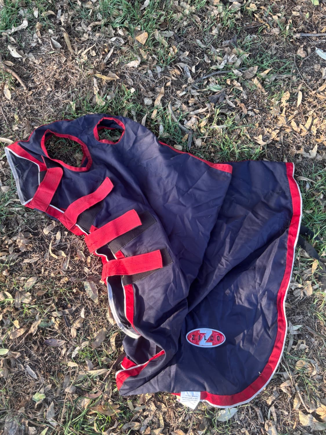 Zilco Cotton Show Set 6”0