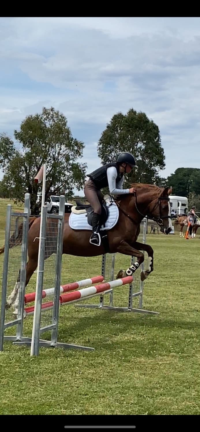 Equiped My Boy Blue PUFFER PAD — image 1