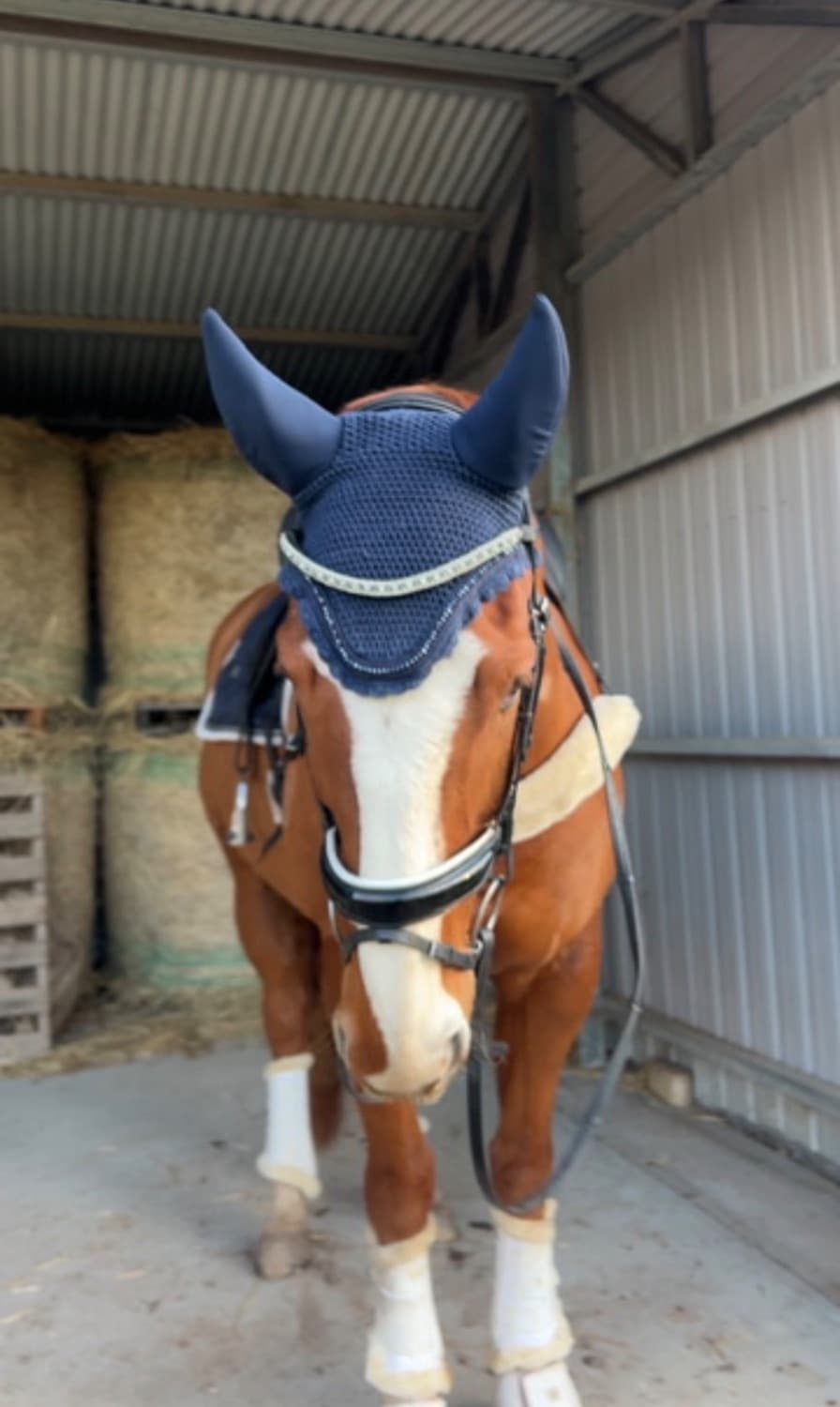 LeMieux Navy Diamanté Soundless Bonnet