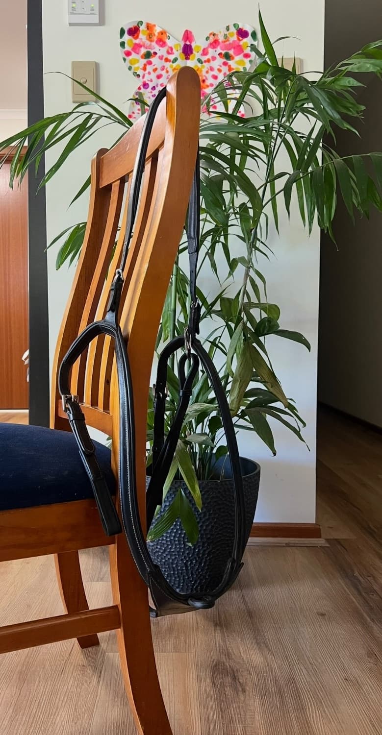 Lumiere Anka Breastplate — image 1