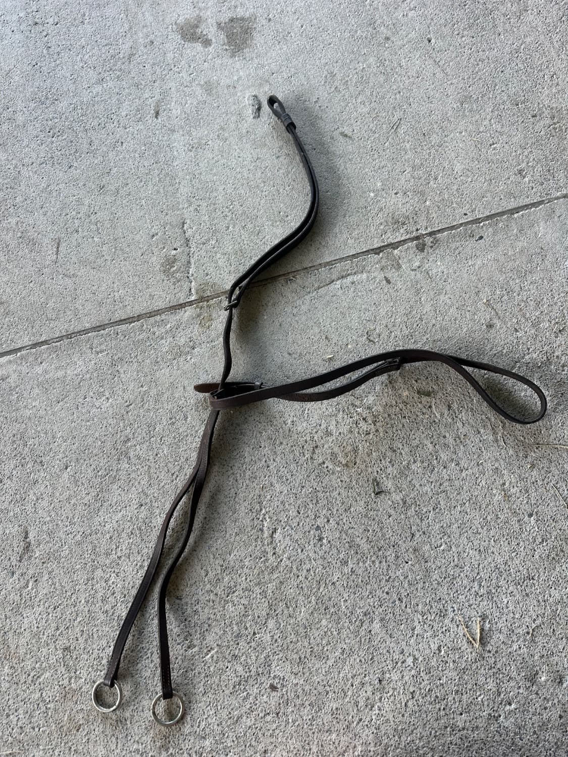 Brown running martingale — image 1