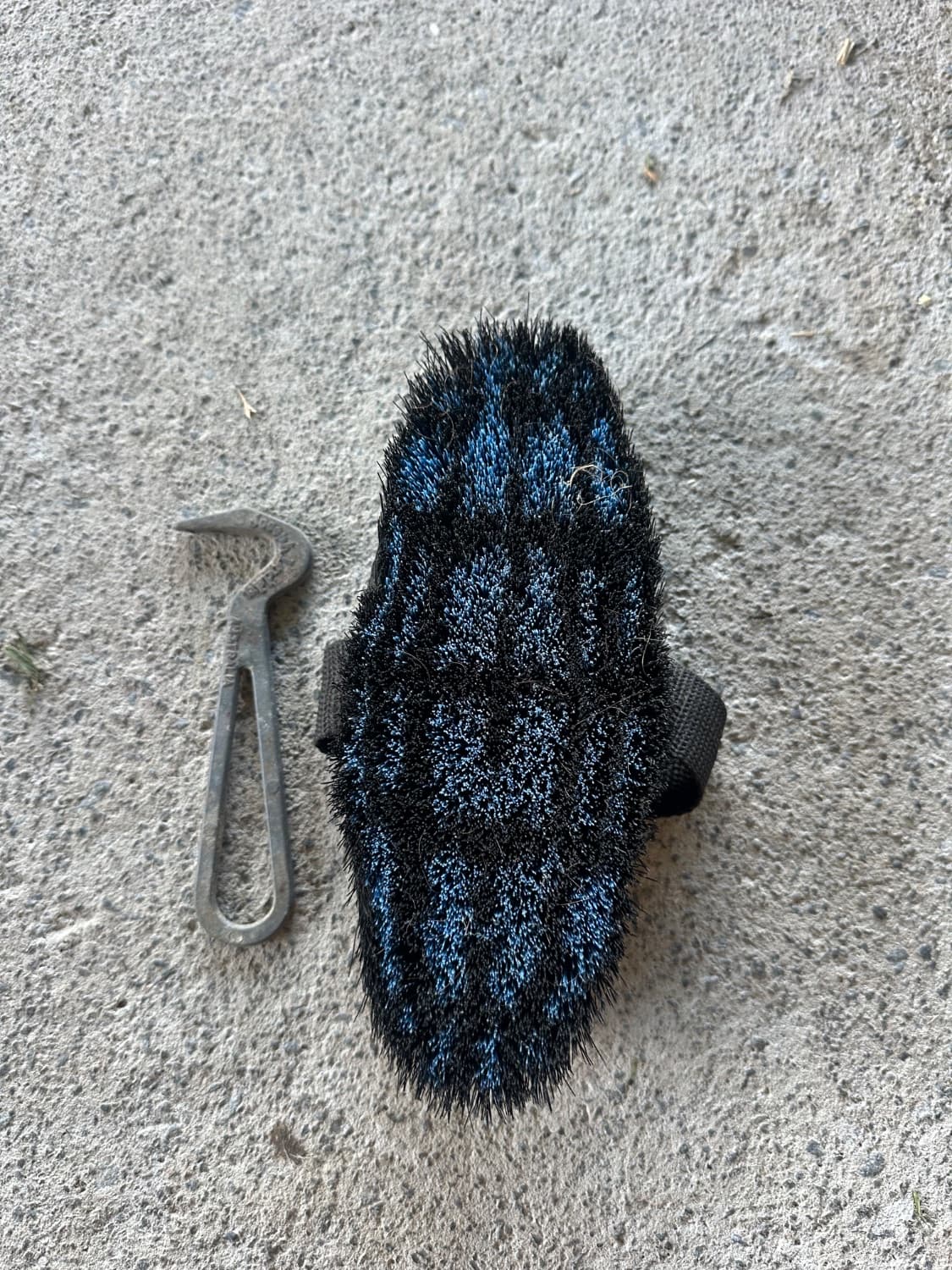 Brush & hoof pick — image 1