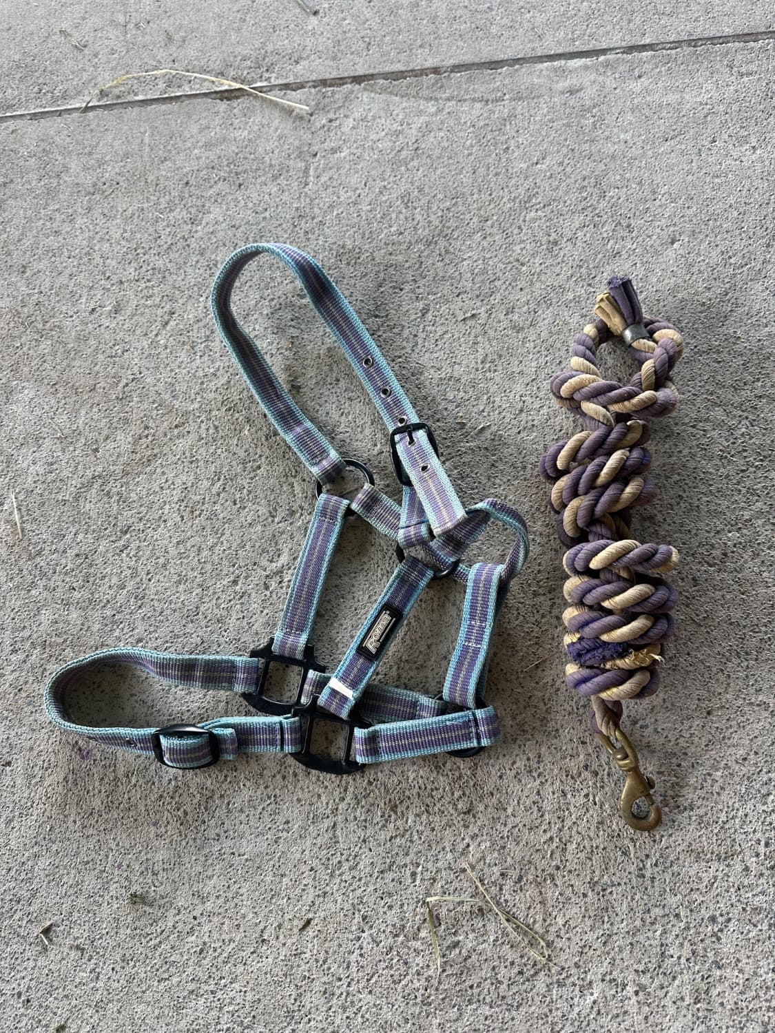 Halter and lead — image 1