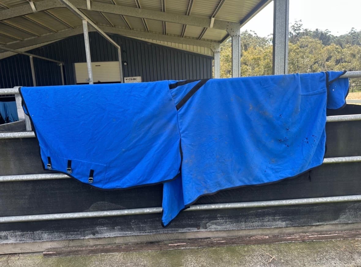 Blue fleece rugs — image 1