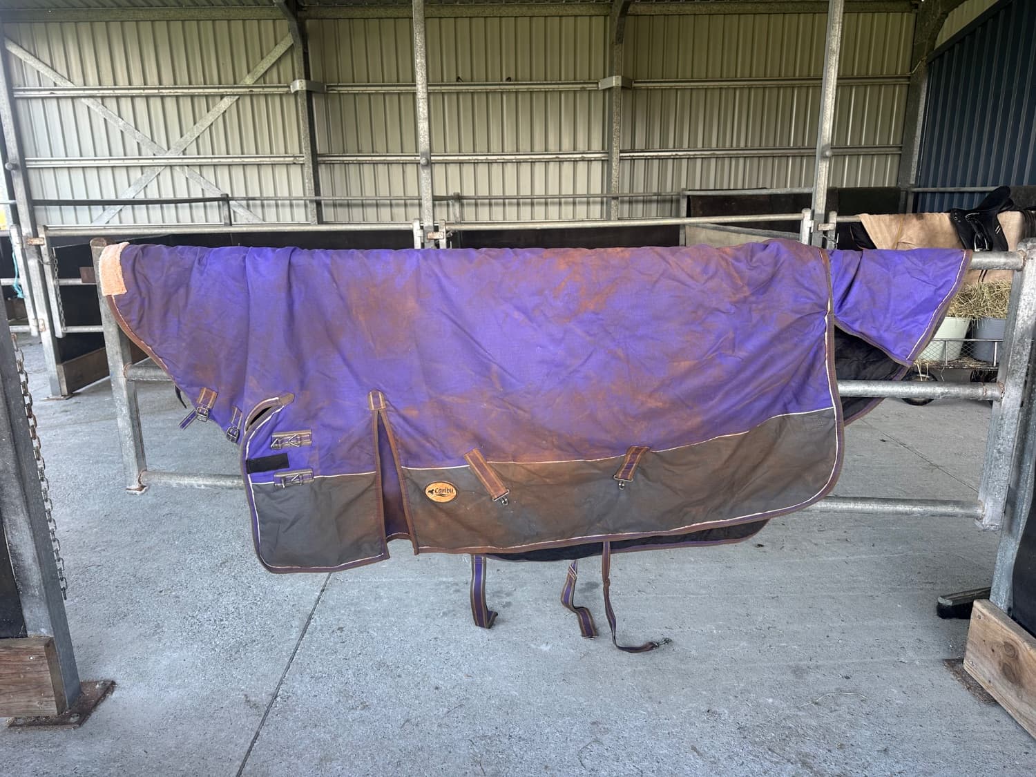 Purple Caribu rain rug — image 1