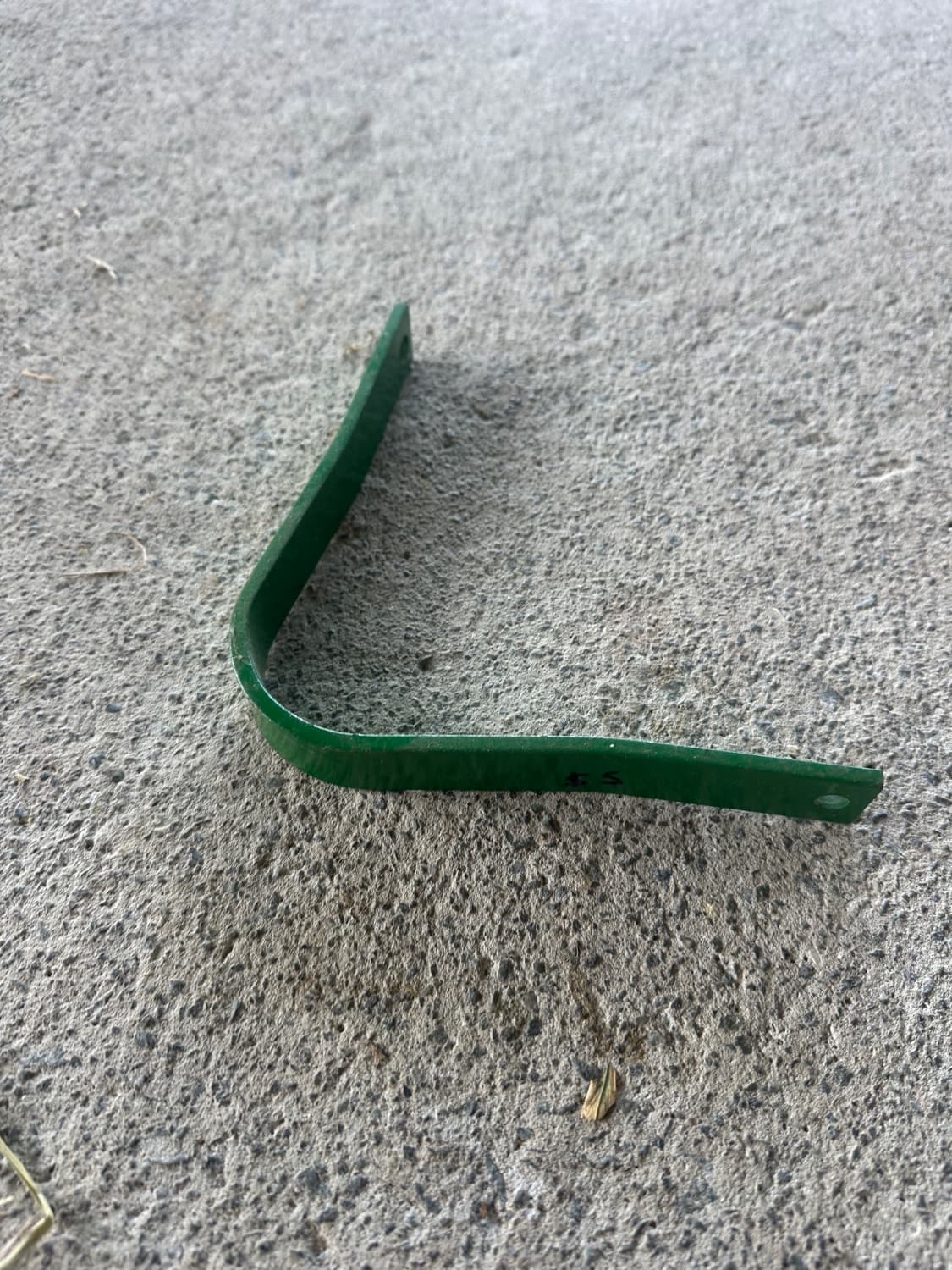 Green gullet — image 1