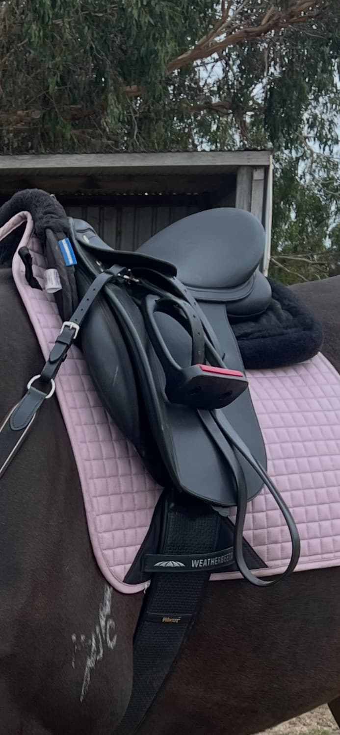 17” Wintec AP Saddle — image 1