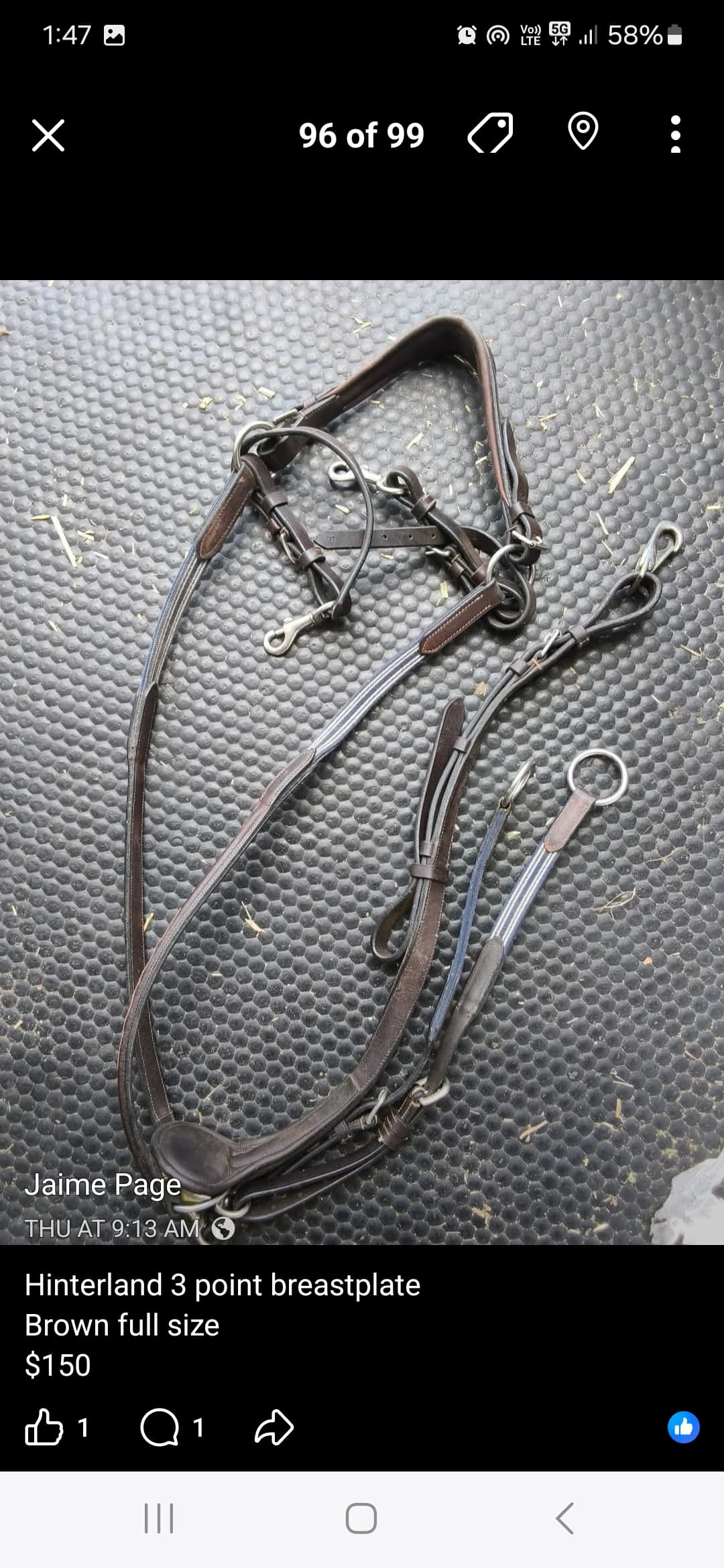 Hinterland breastplate — image 1