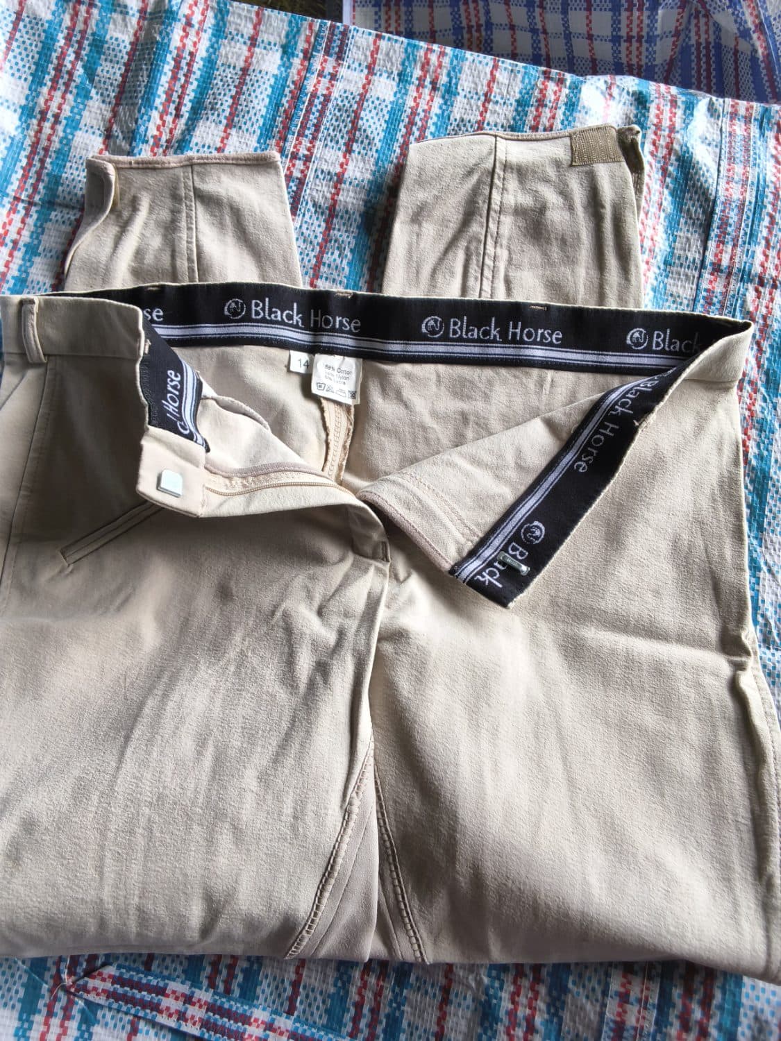 Black horse breeches — image 1