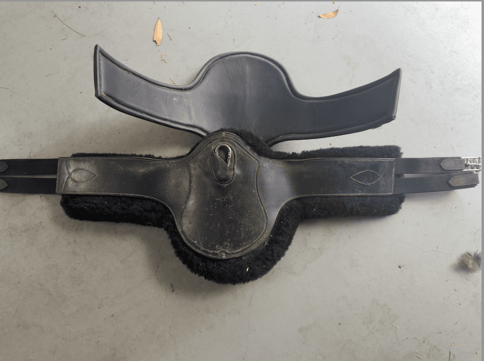 Lumiere convertible stud girth