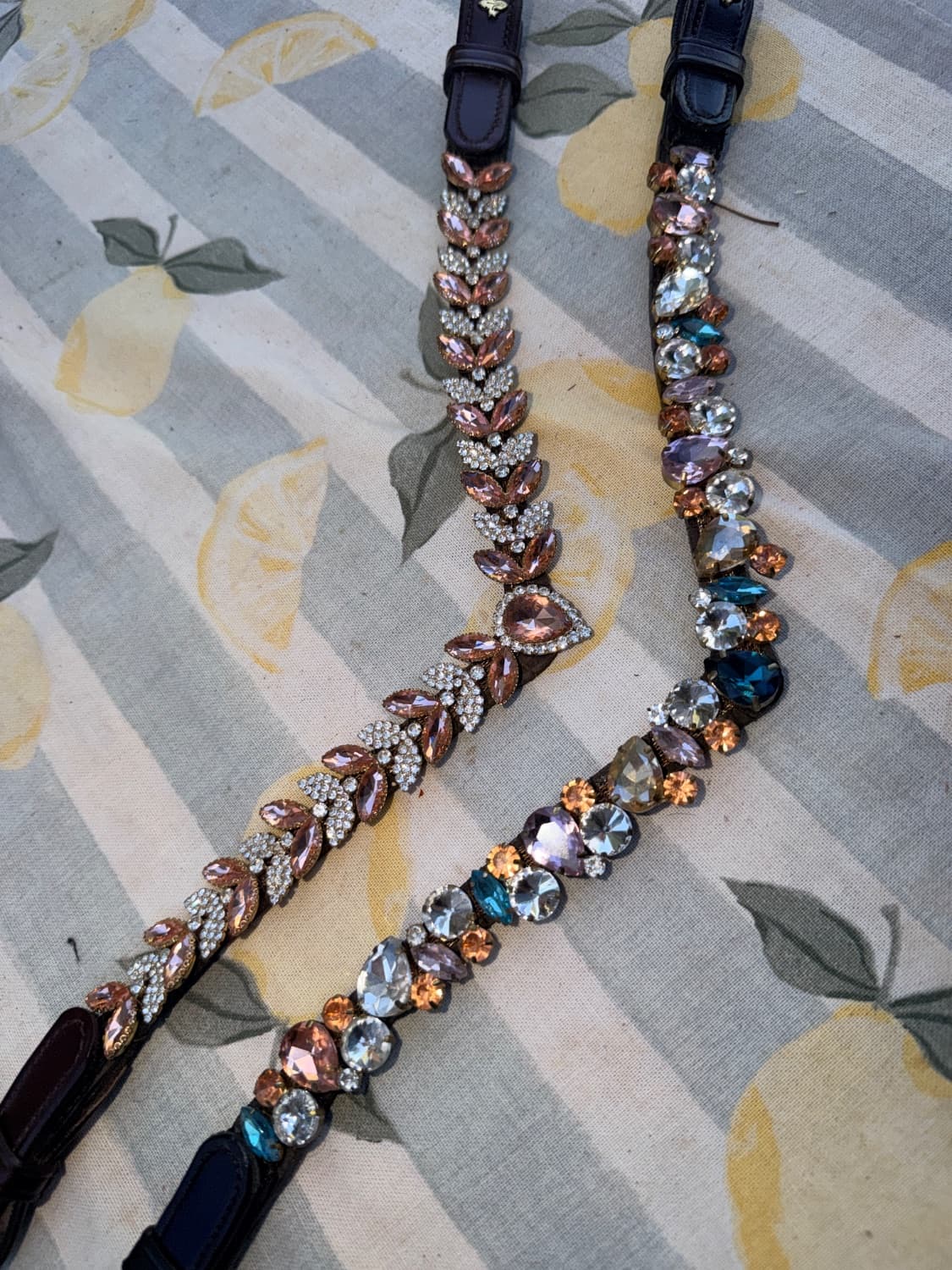 Stunning Masego Horsewear Browbands — image 1