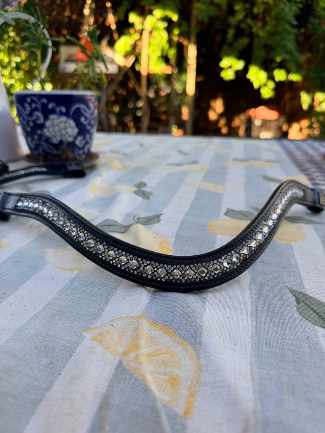 SD Design Browband — image 1