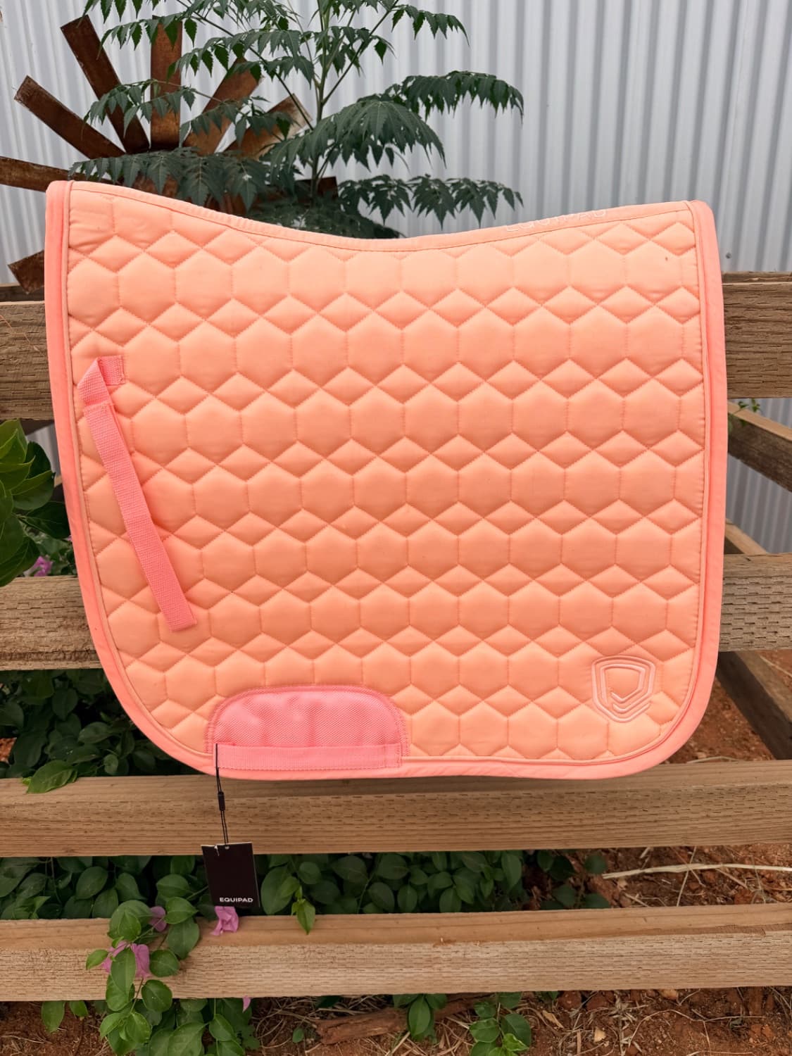 Gorgeous peach coloured Equipad