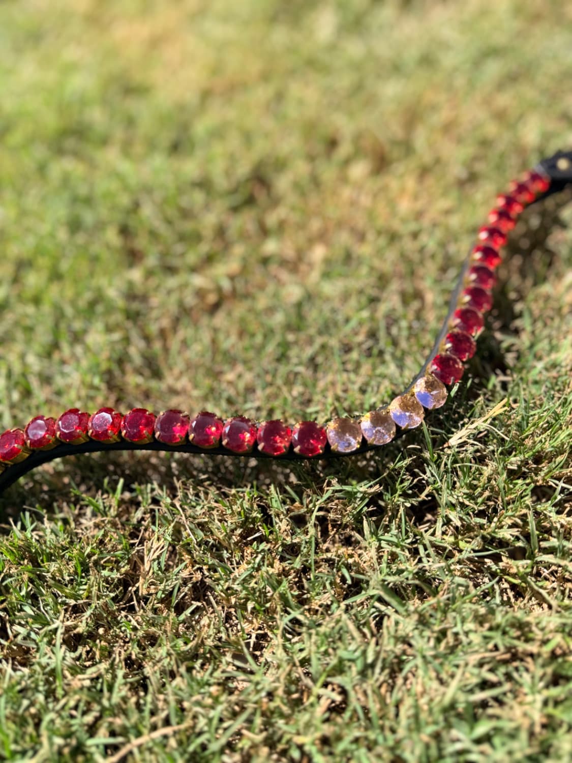 Utzon Equestrian Flamingo Browband — image 1