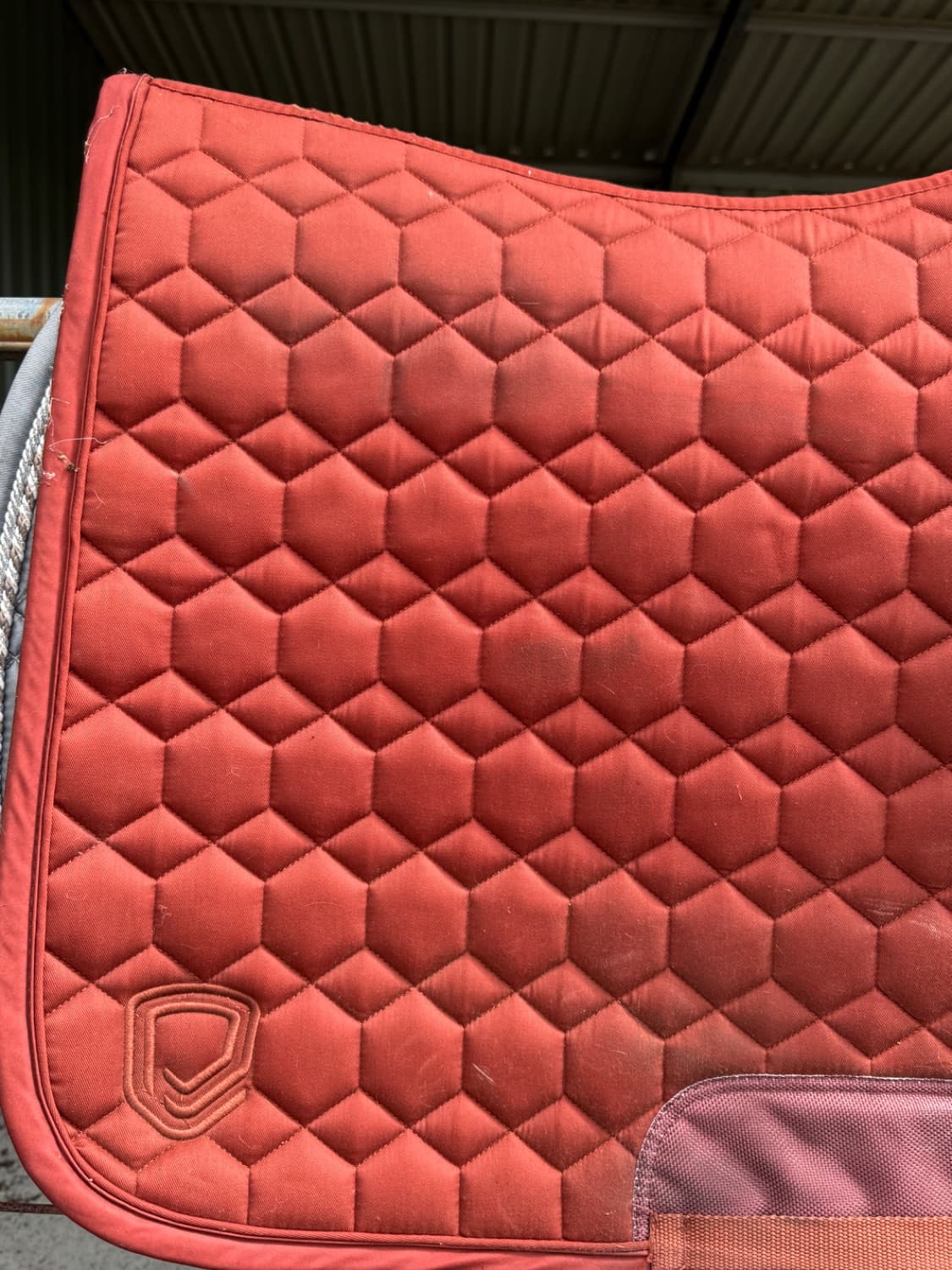 BURNT ORANGE EQUIPAD Dressage Pad