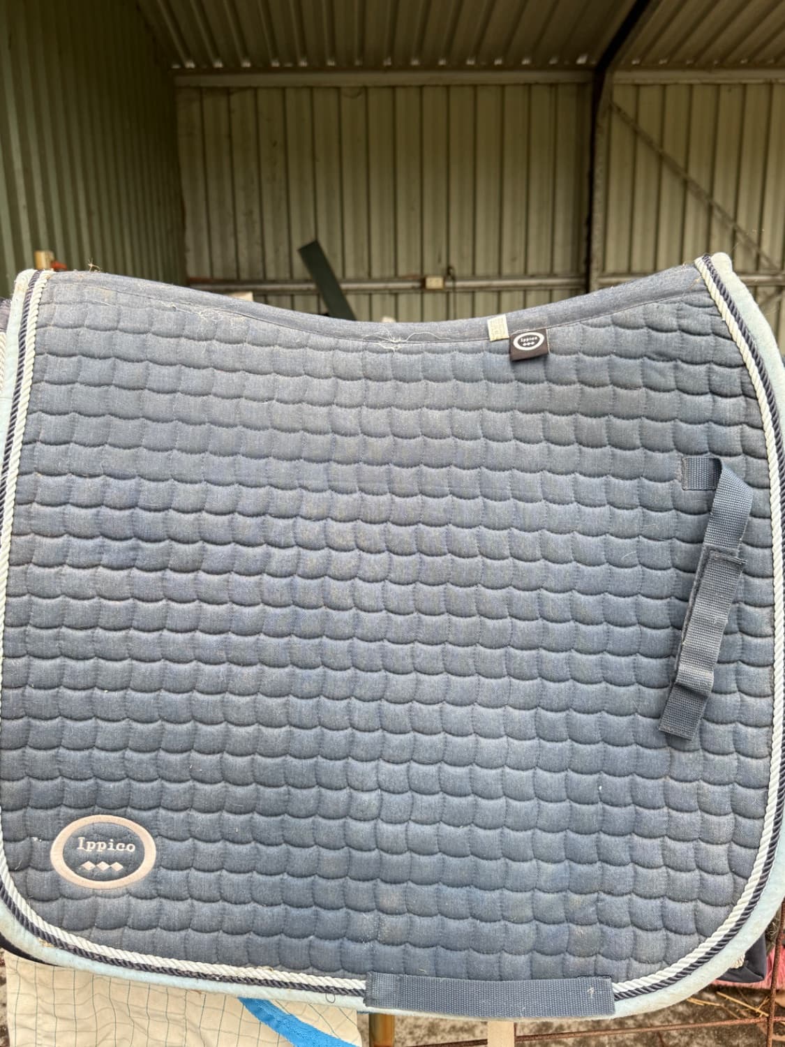 Navy IPICCO Dressage saddle pad