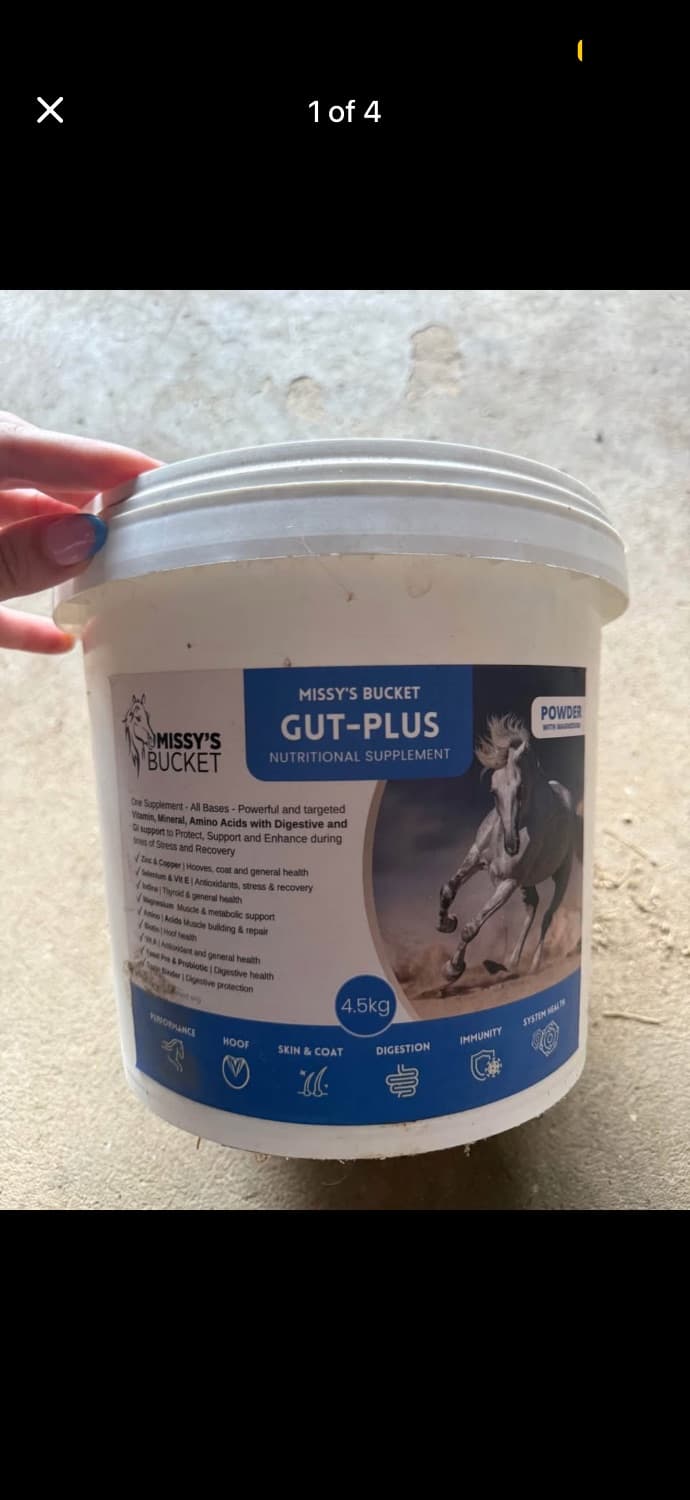 MISSYβS BUCKET GUT-PLUS