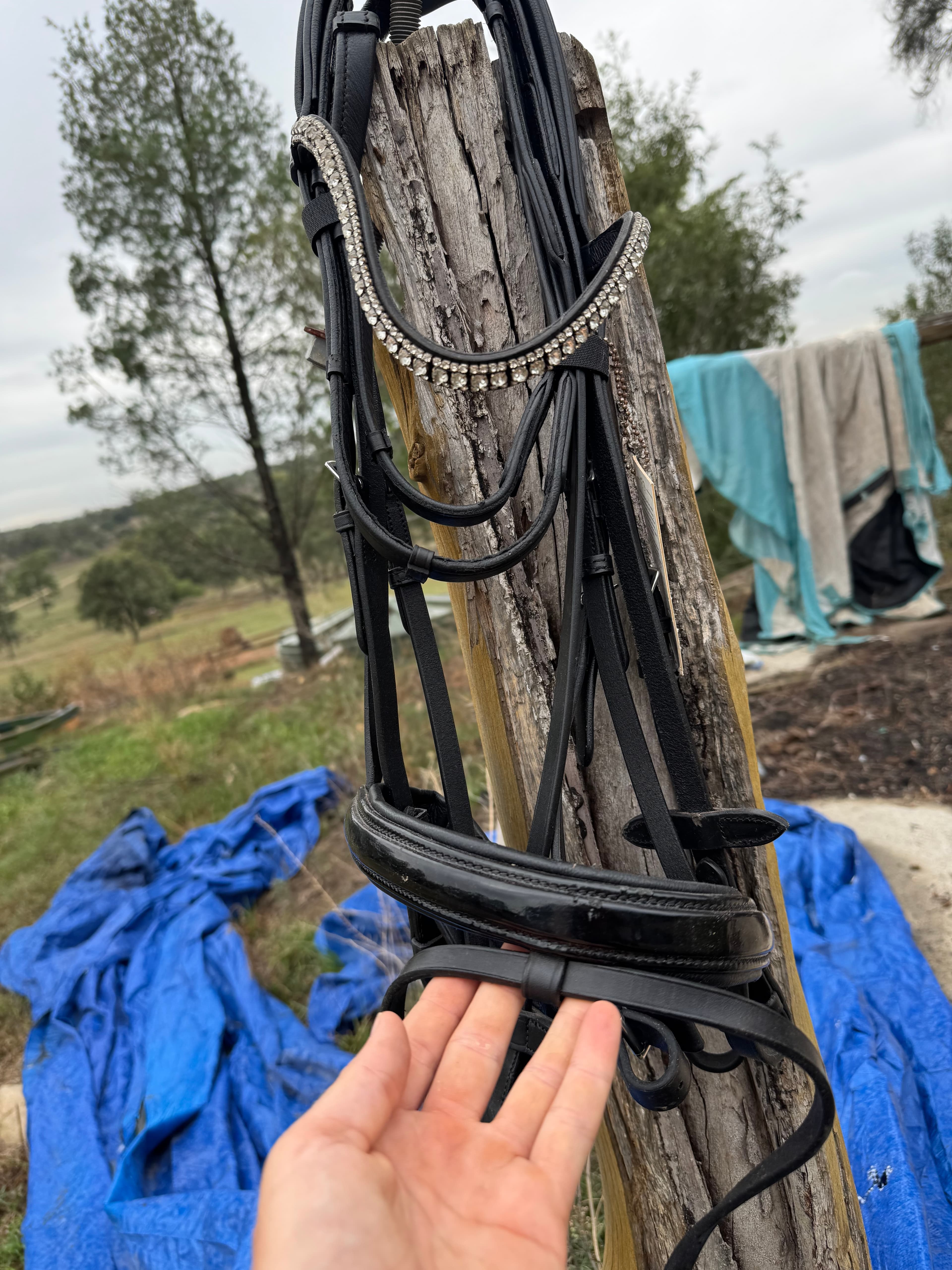 Crosby warmblood bridle & reins NEW — image 1