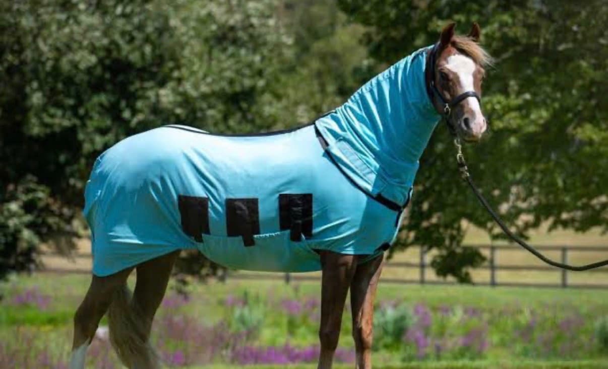 6”0 Snuggyhoods Bug Body Fly Rug — image 1