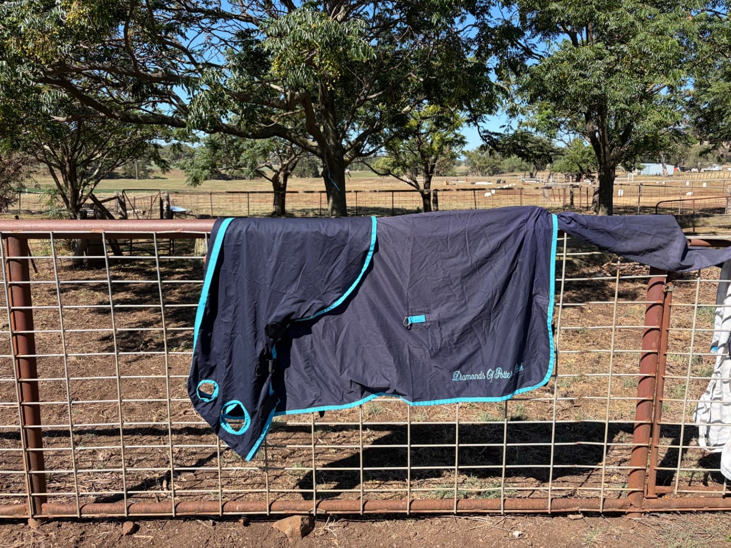 Beautiful Navy 5’3 Pony show rug — image 1