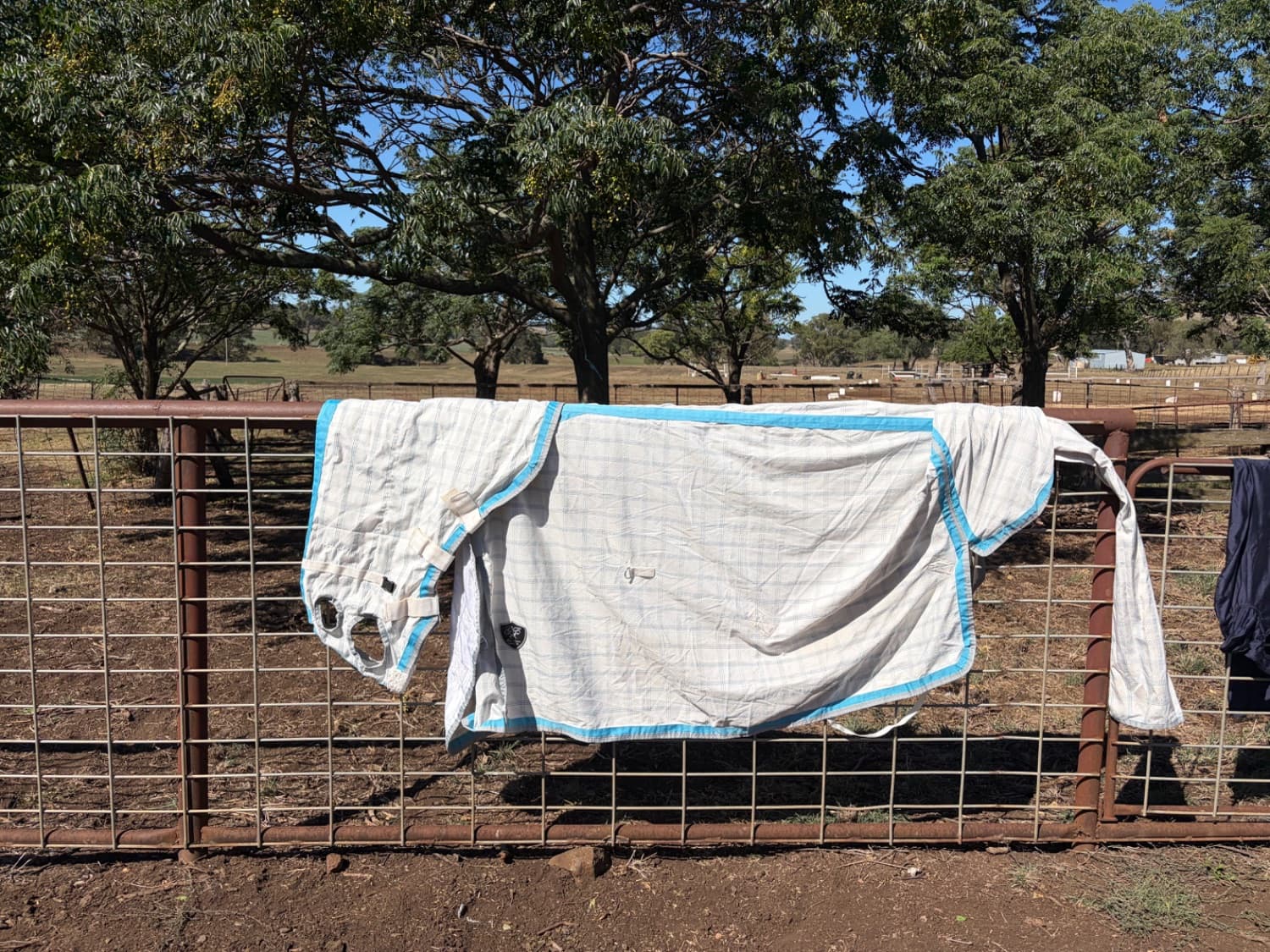 Gala Equine Pony Show Set 5”3 — image 1