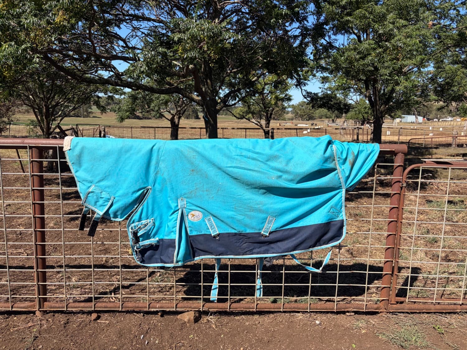 5’3 Heavy rug — image 1