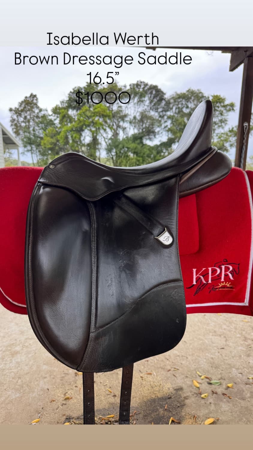 Bates 16.5” Isabella Werth Brown Dressage — image 1