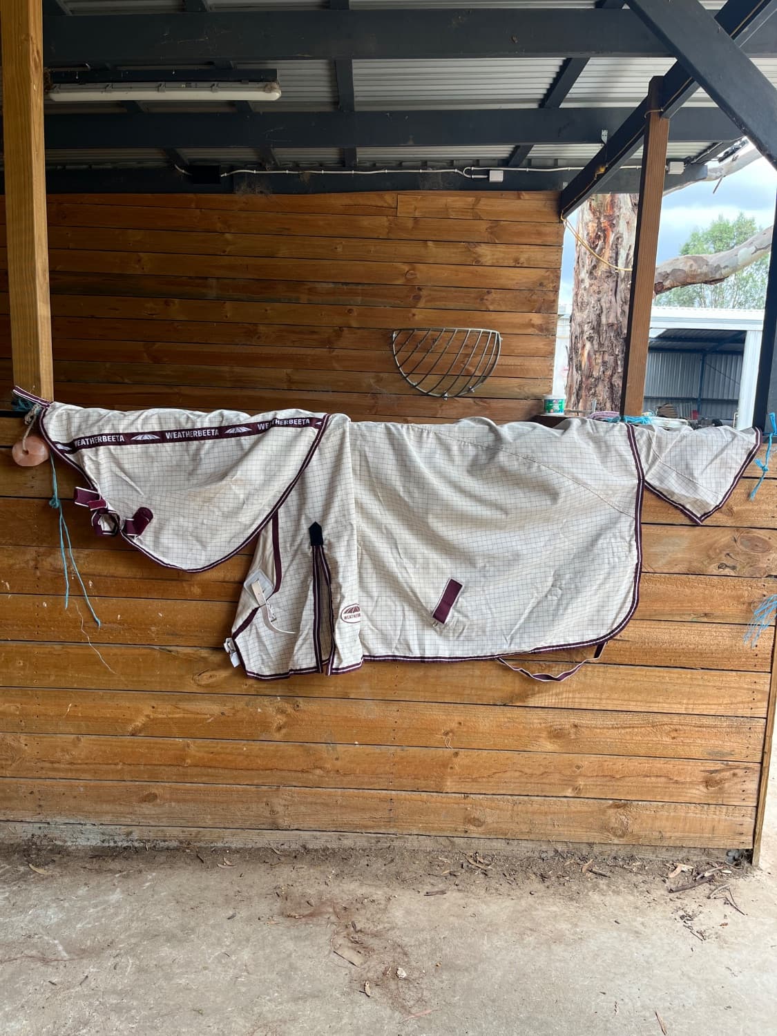 Cotton Rug — image 1