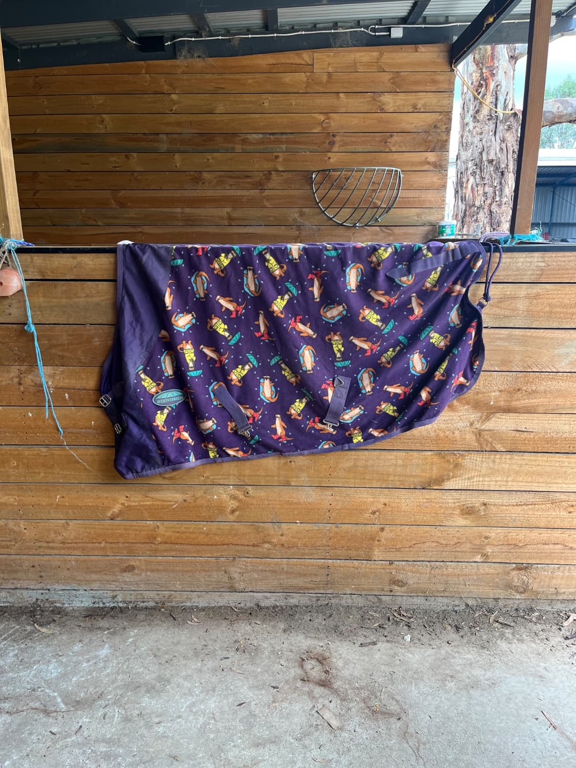 Fleece Rug — image 1