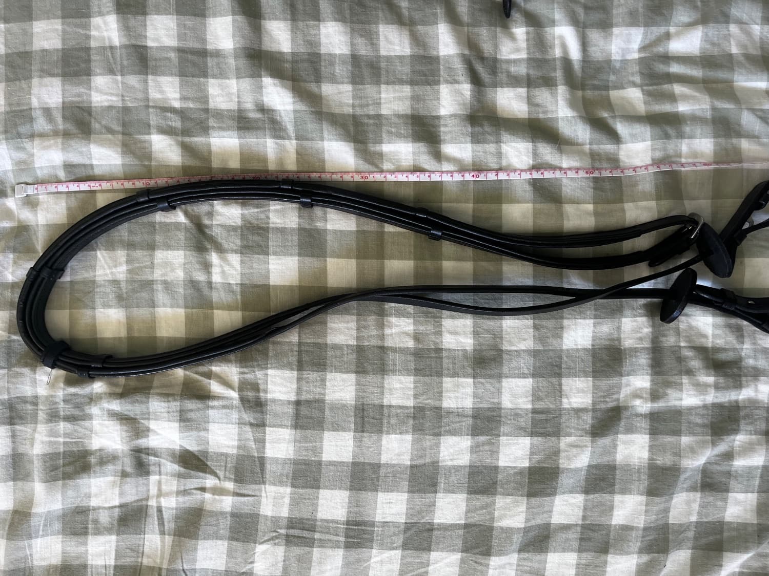 Black English reins sz:full — image 1