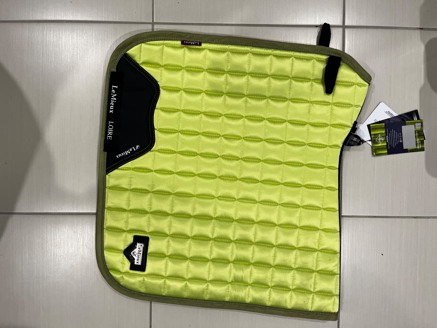 Kiwi Loire Lemieux dressage saddle pad — image 1