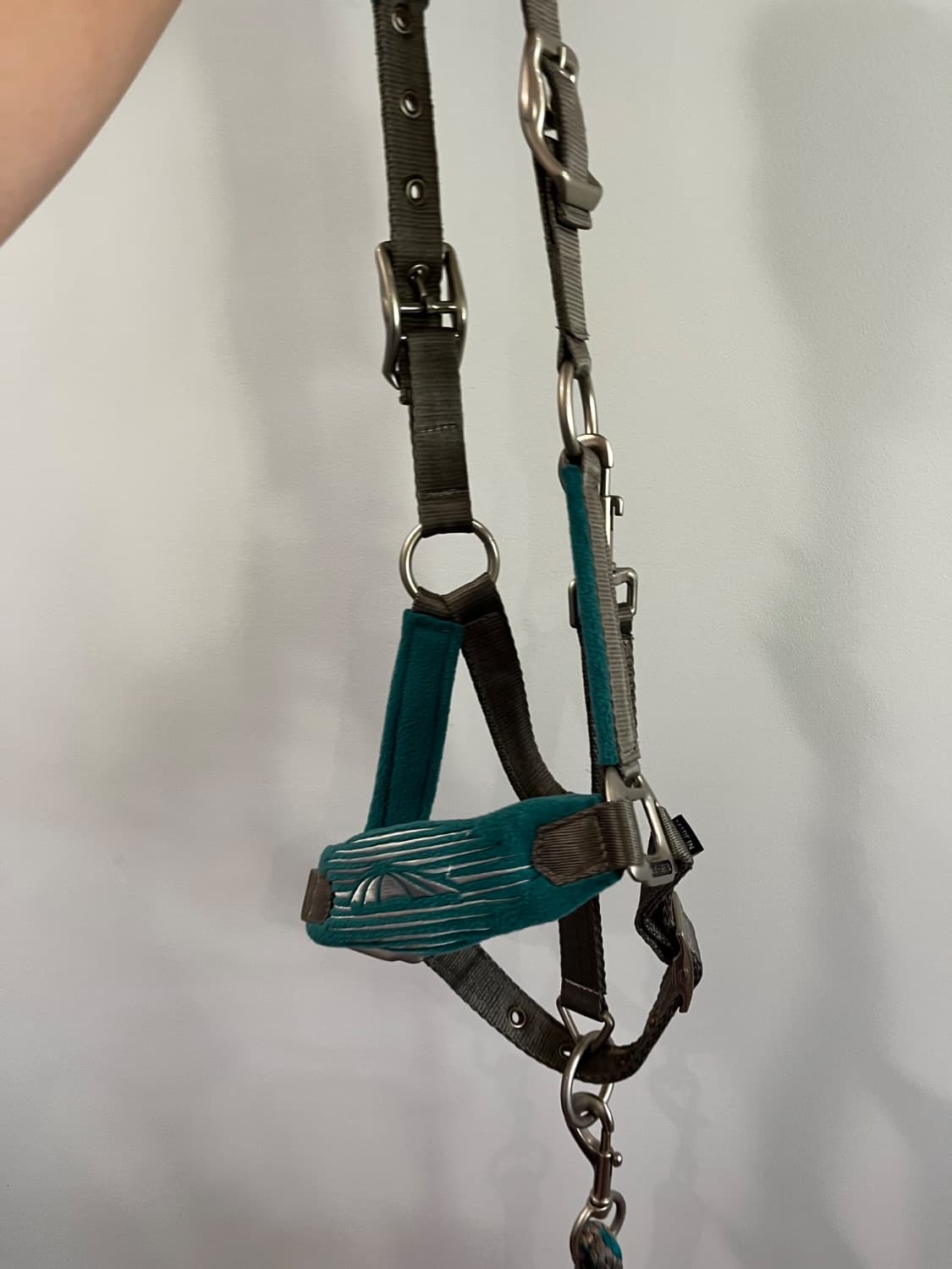 Weatherbeeta pony head collar — image 1