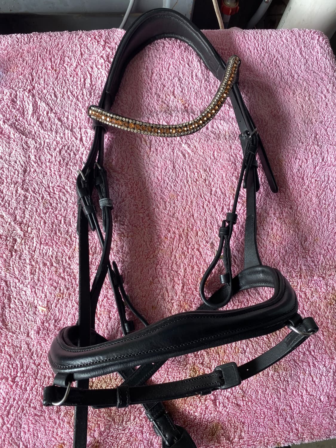New Lumiere Mila COB Bridle