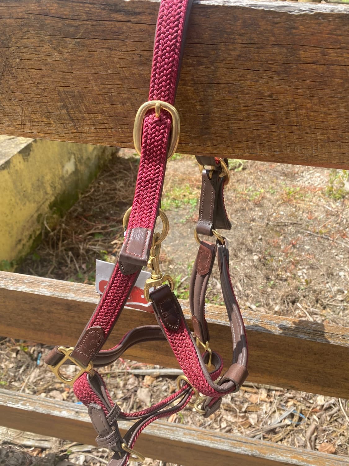 Kincade Cob braided halter