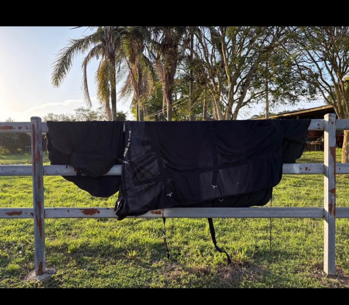 Back on track mesh rug — image 1