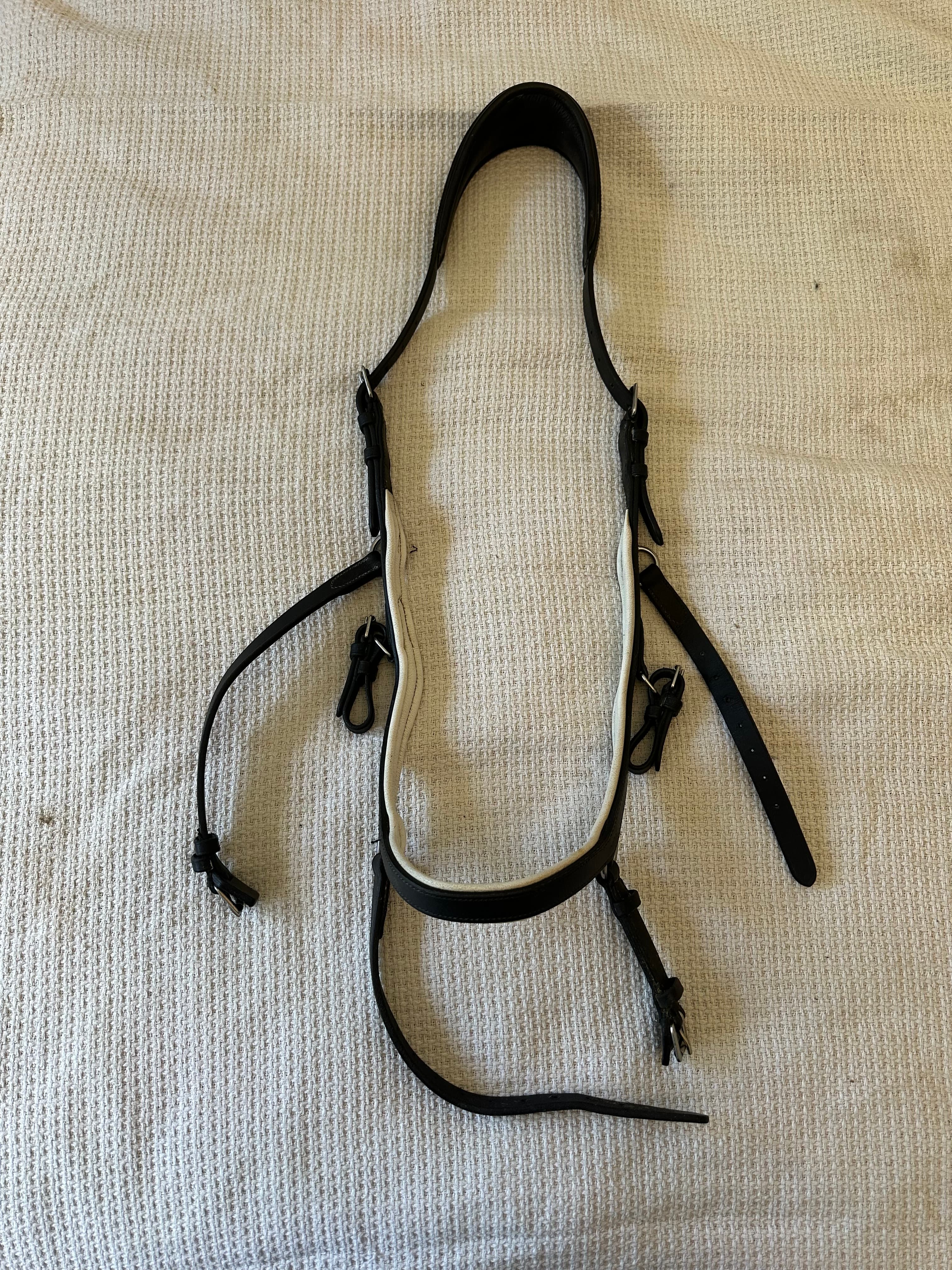 Lumiere Micklem — image 1