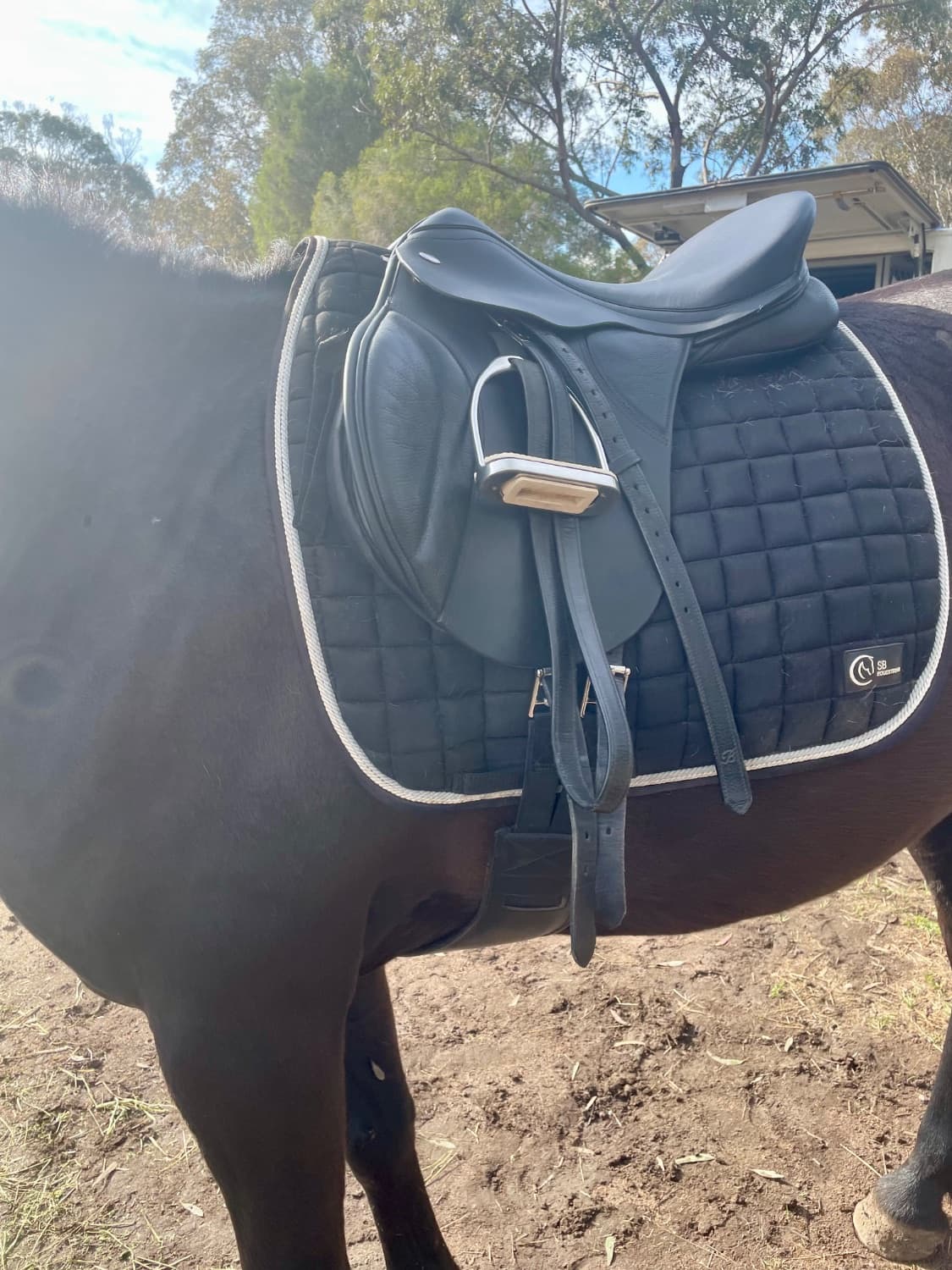 Thorowgood T8 Standard GP 17”