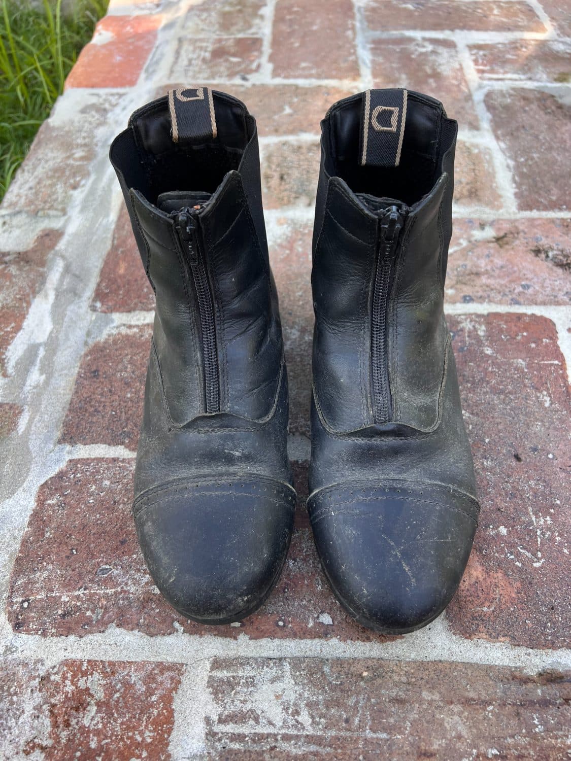 Dublin Paddock boots — image 1