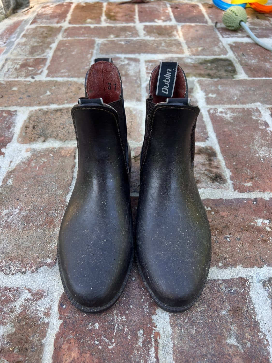 Dublin jodhpur boots — image 1