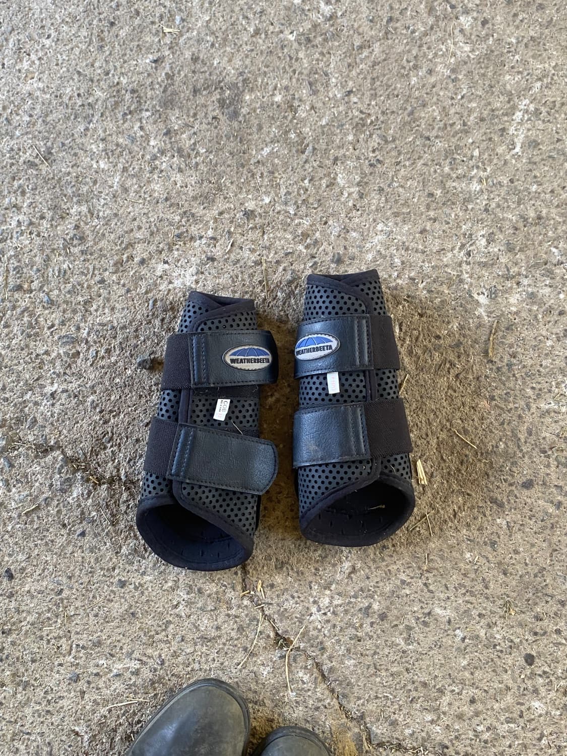 Weatherbeeta brushing boots — image 1