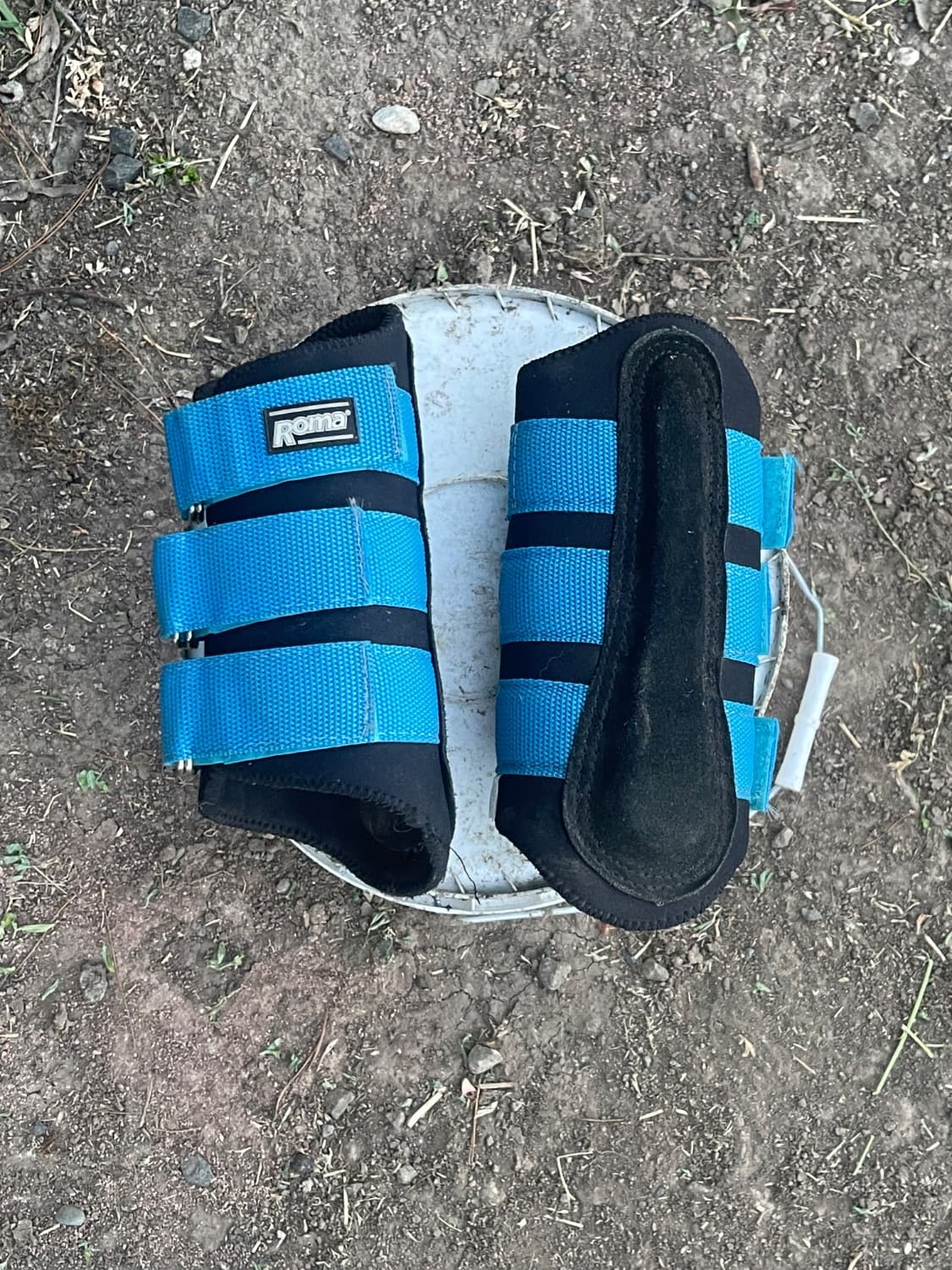 Blue Roma horse boots — image 1