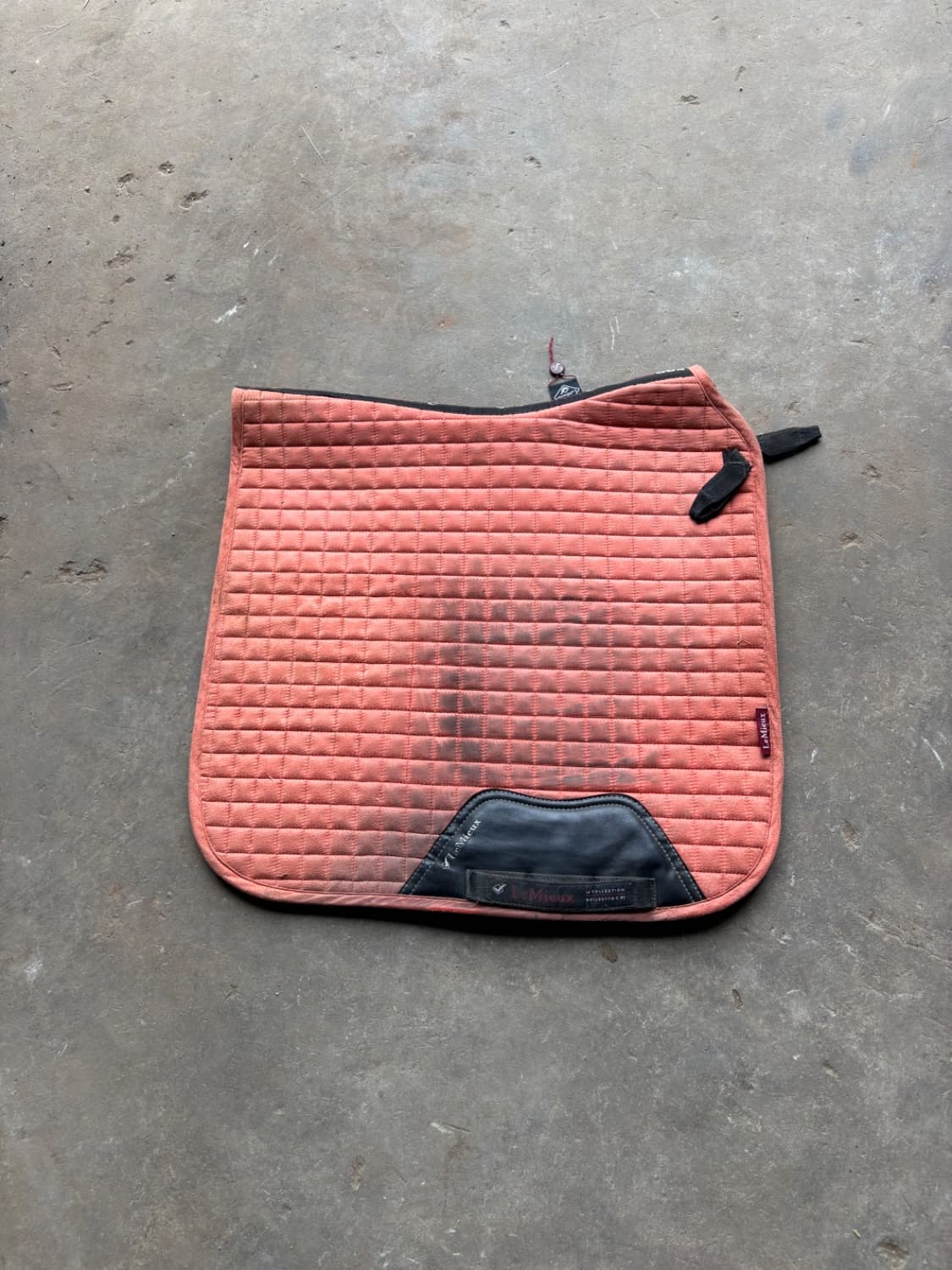 Lemuiex Sorbet DR Saddle pad — image 1