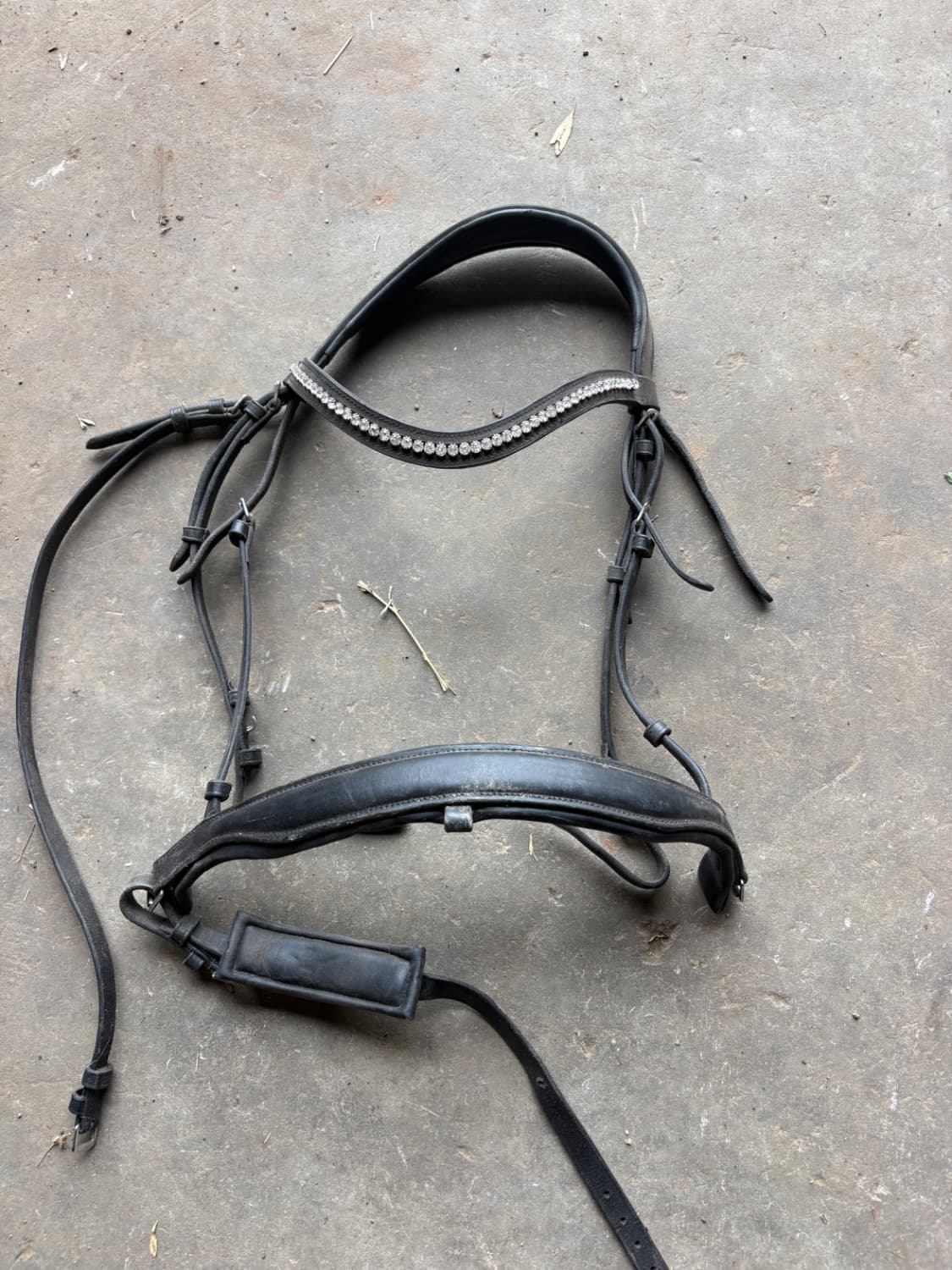 Full Black Bridle — image 1