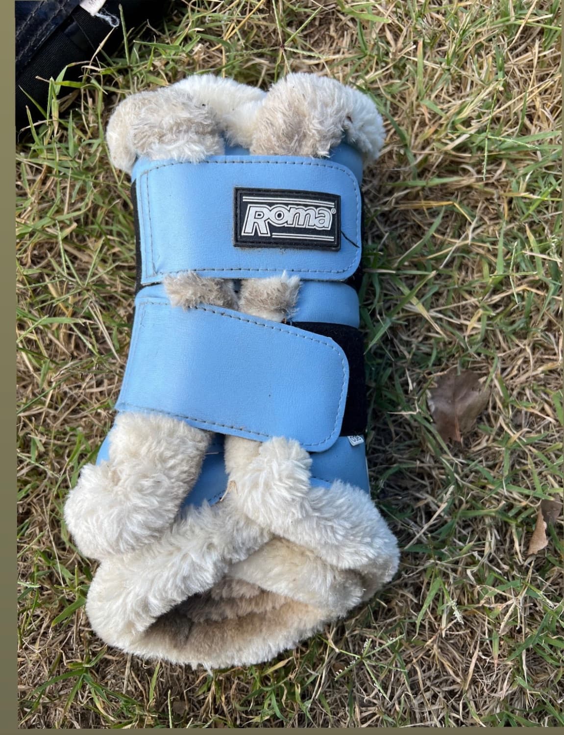 Cob size Roma brushing boots — image 1